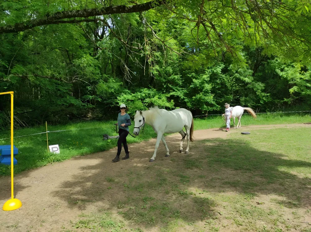 Stage équitation à Montjoie-en-Couserans