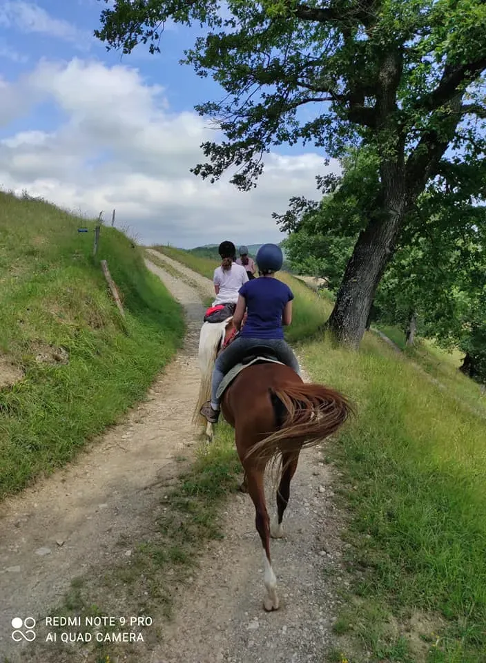 ecoute-de-votre-cheval