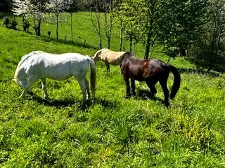 Stage découverte – Vacances de printemps